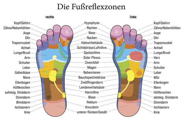 Bildnachweis: © istockphoto.com / PeterHermesFurian Infografik Fußreflexzonen