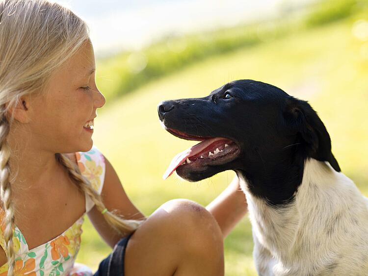 Mädchen und Hund schauen sich an.