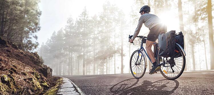 Mann mit Satteltaschen am Fahrrad fährt auf einer Straße durch einen Wald