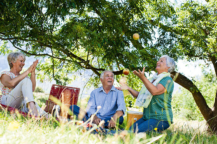 Gruppe beim Picknick, eine Frau jongliert mit Äpfeln.