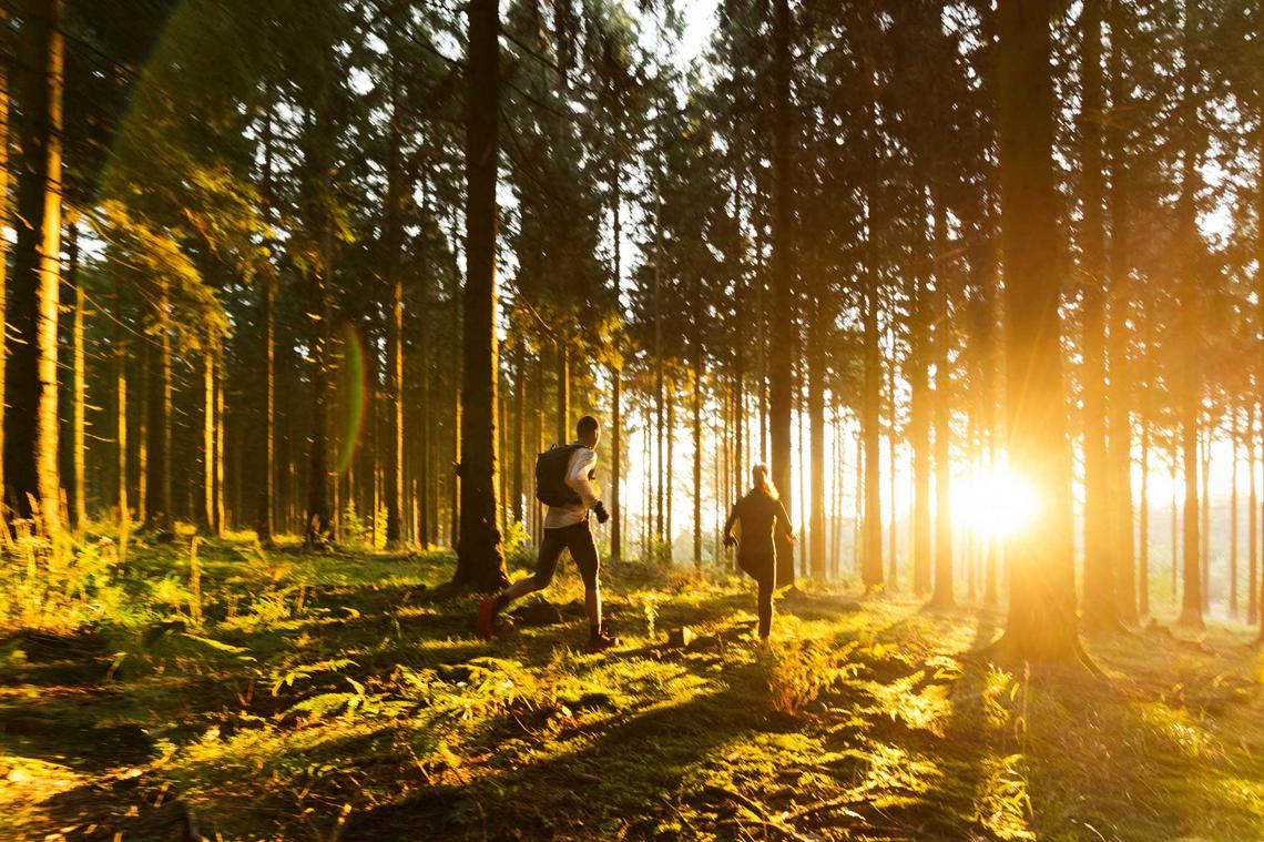 Mann und Frau joggen abseits der Wege im Sonnenlicht durch den Wald