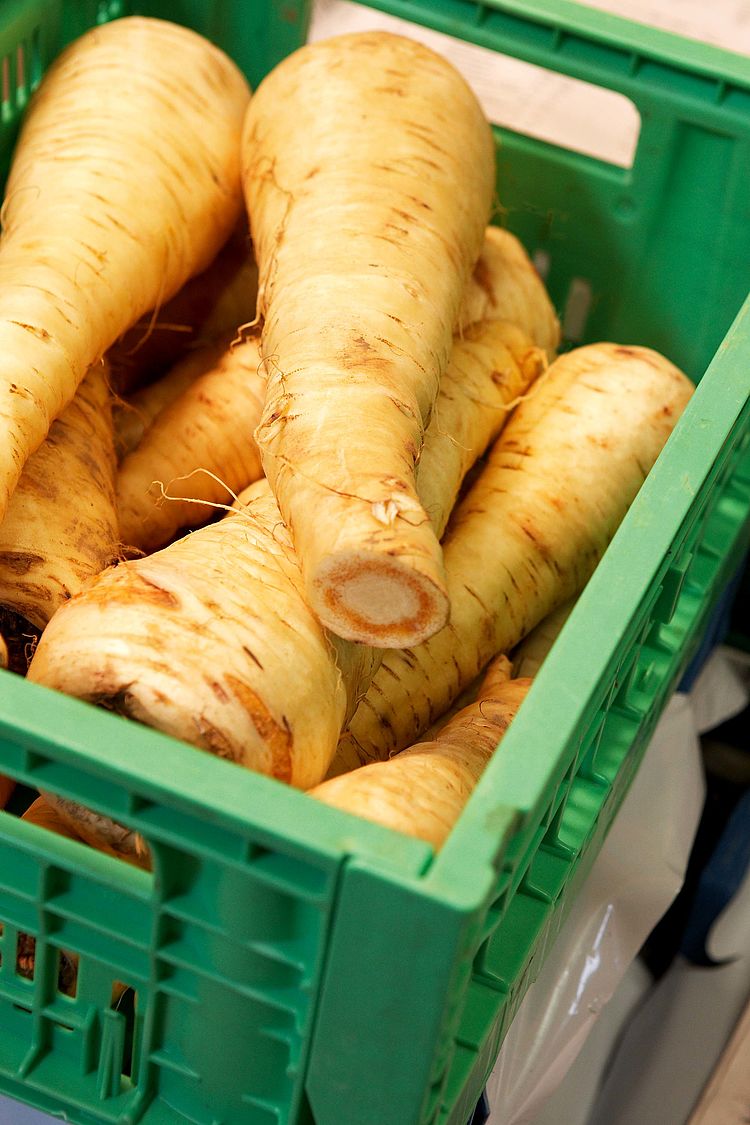 Pastinaken in einer Genmüsekiste aus Plastik. - Bildnachweis: © wdv / Bernhard Rüttger Pastinaken in einer Genmüsekiste aus Plastik.