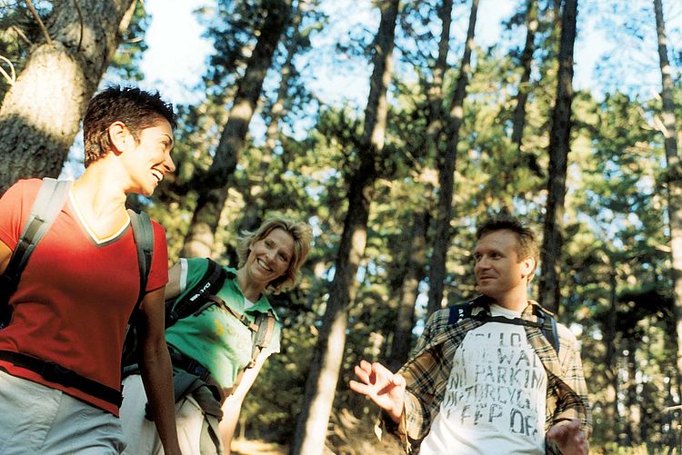 Bildnachweis: © wdv / Jan Lauer Zwei Frauen und ein Mann mit Rucksäcken wandern durch einen Wald.
