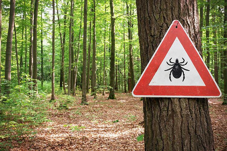 Schild warnt im Wald vor Zecken