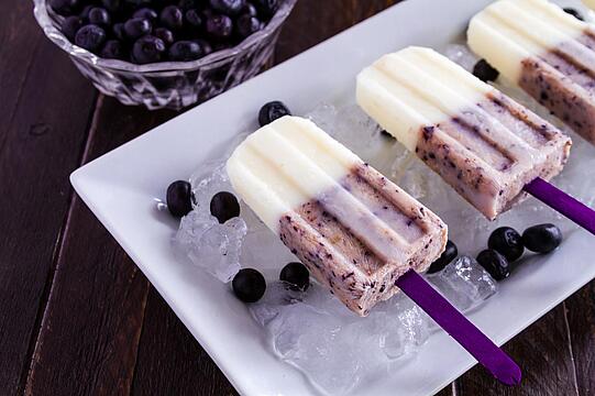 Frozen Blueberry Joghurt