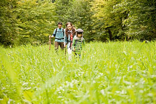 Natursteig: Von Siegburg nach Hennef