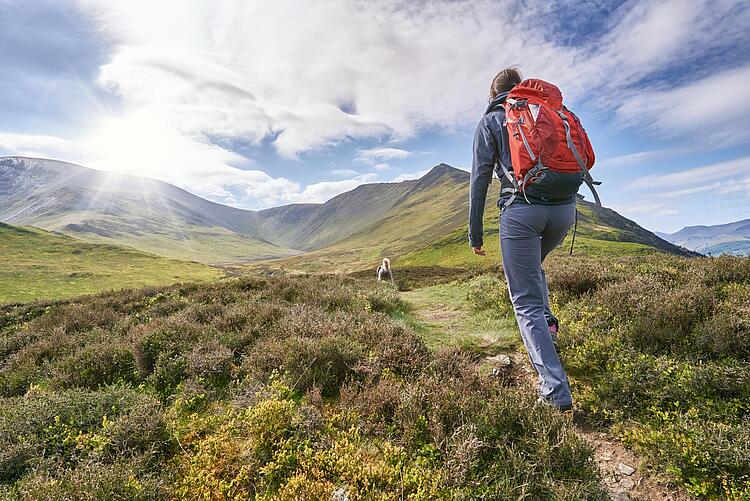 Wanderer im Gebirge