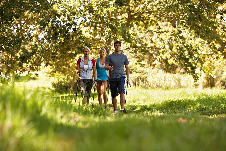 Gruppe beim Nordic Walking auf einer Wiese mit Bäumen.