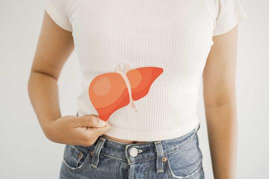 Fettleber: Ursachen, Symptome und was wirklich hilft