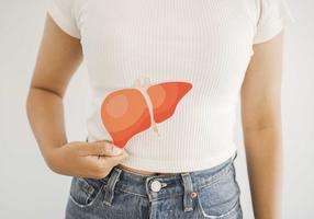 Frau hält die Zeichnung einer gesunden Leber vor ihren Bauch