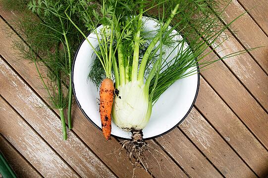 Winterlicher Salat