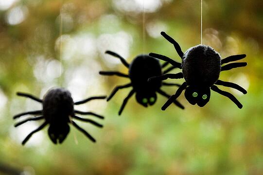 Was versteht man unter Spinnenphobie?