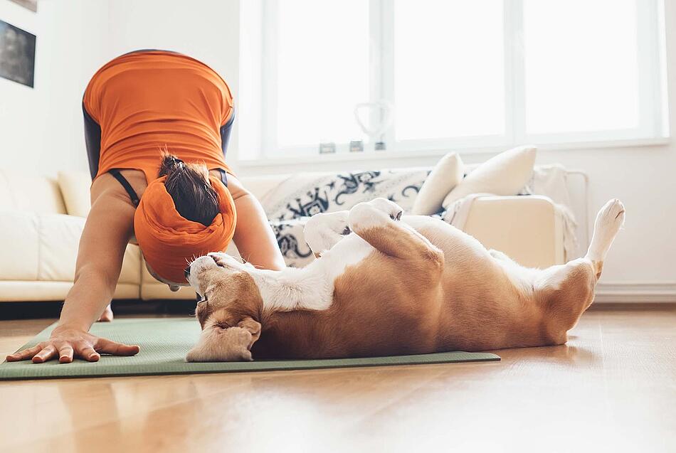 Frau mit orangenem Kopftuch macht Yoga auf einer Matte im Wohnzimmer, Hund liegt daneben auf dem Rücken.