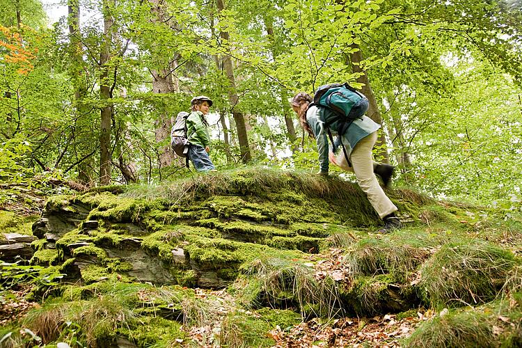 Vater und Kind klettern in einem Laubwald einen felsigen Hügel hinauf 