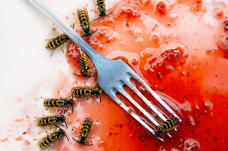 Bildnachweis: © istockphoto.com / victorass88 Wespen auf einem Teller mit Erdbeersauce.