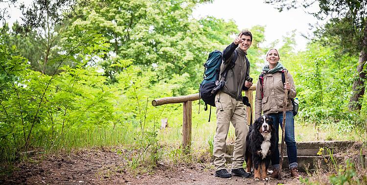 Paar mit Hund wandert im Wald