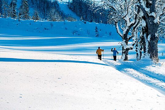 Was gehört in die Reiseapotheke für den Skiurlaub?