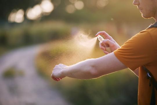 Schutz vor Insektenstichen