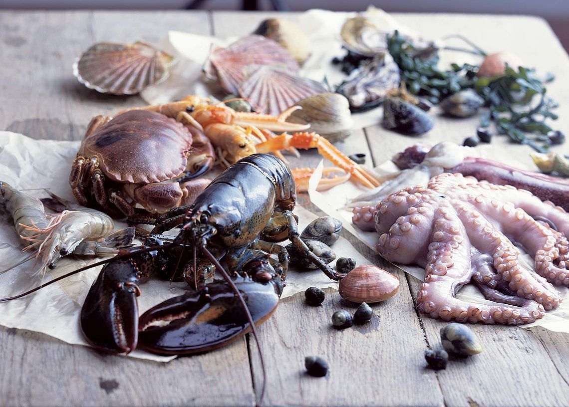 - Bildnachweis: © wdv / Tim Thiel Verschiedene Meeresfrüchte.