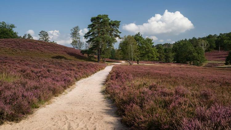 Wanderrouten in Hamburg