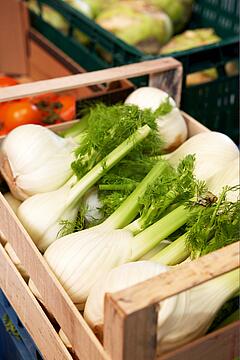 Überbackener Seelachs mit Fenchel