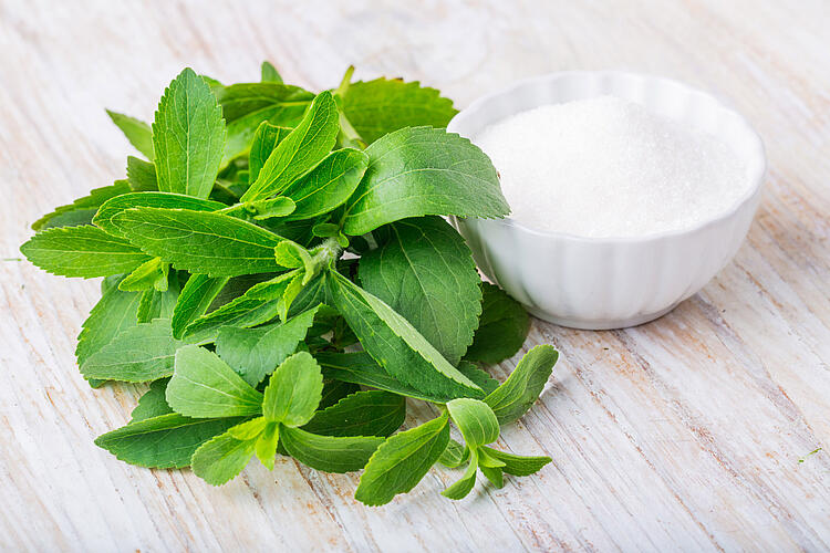 Stevia in einer Schale daneben frische Blätter.