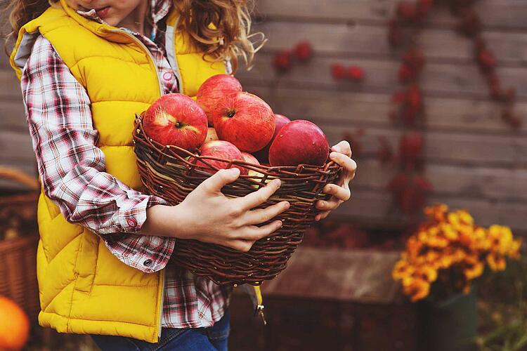 Mädchen trägt einen Korb Äpfel