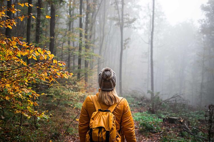 Frau wandert durch einen herbstlichen Wald