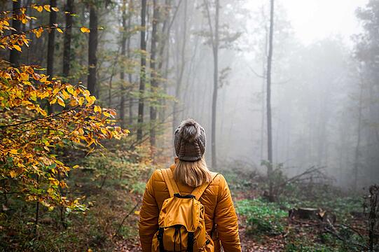 Outdoor-Trend Wandern: Tipps für Anfänger