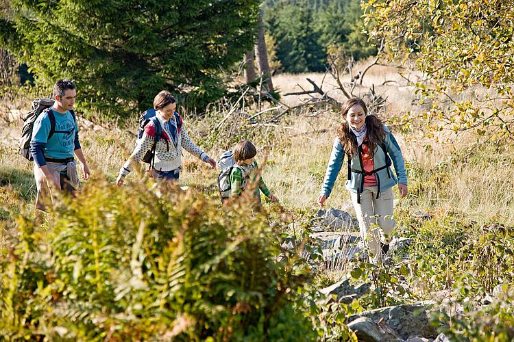 Familie wandert durch Gestrüpp am Waldrand entlang.