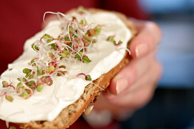 Vollkornbrötchen mit Frischkäse und Sprossen.