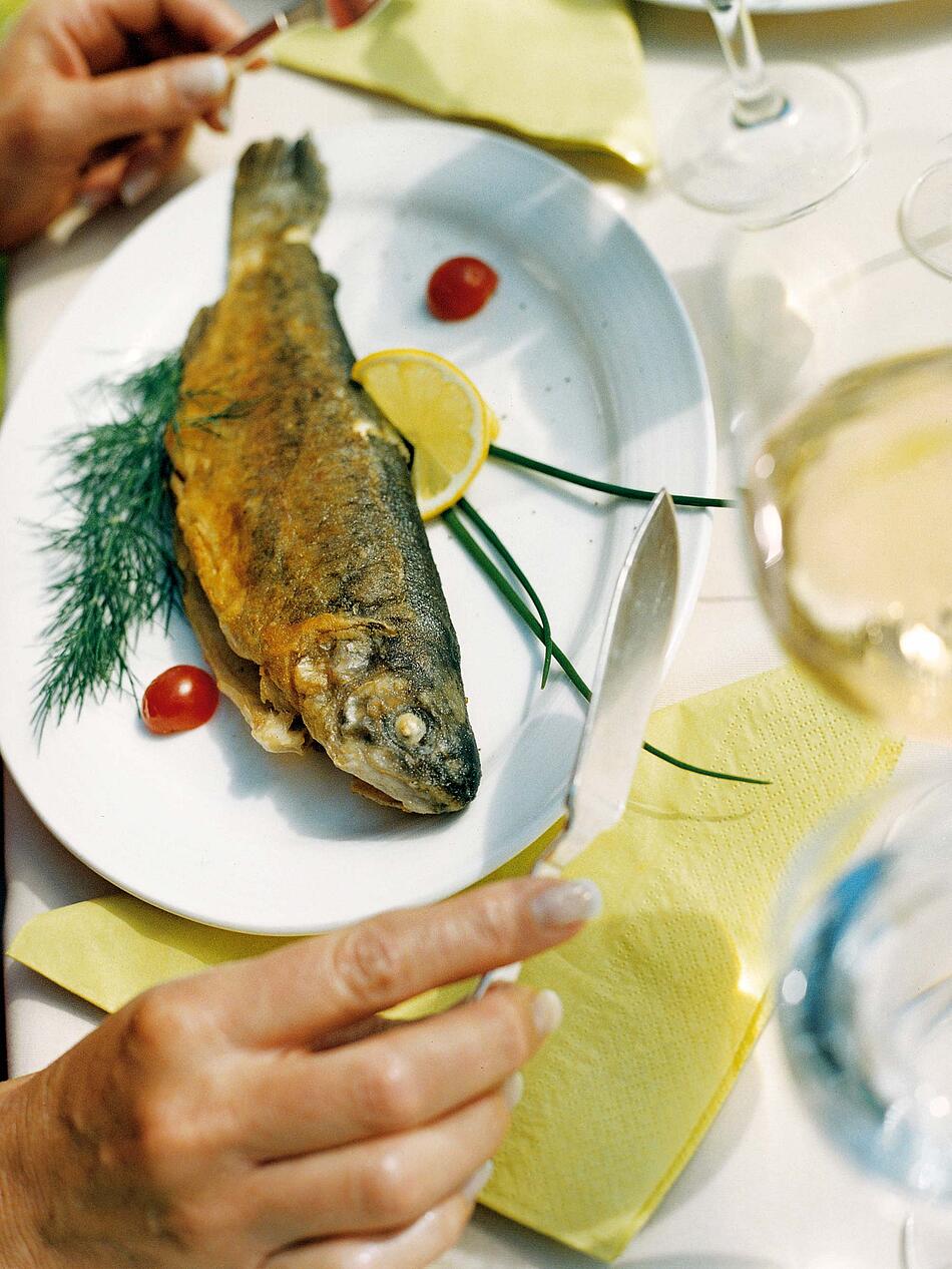 Gebratener Fisch auf einem Teller garniert mit Dill und Zitrone.