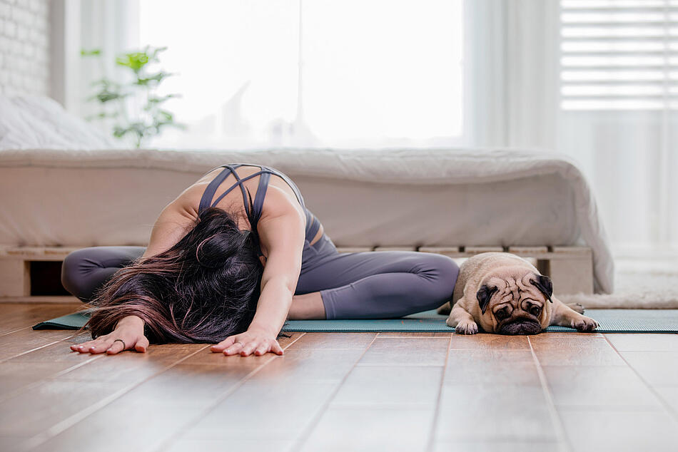 Frau und ein Hund machen Yoga