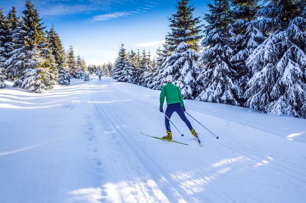 Rückansicht eines Mannes beim Langlauf im verschneiten Wald