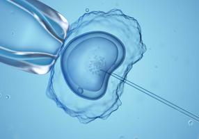 Medizinische Darstellung einer In-vitro-Fertilisation