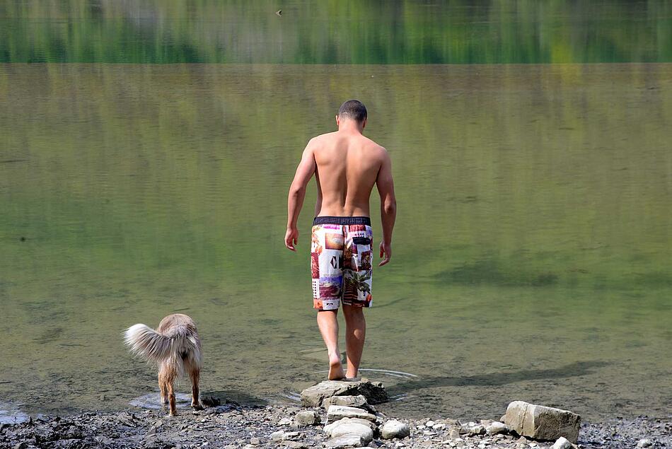 Mann und Hund gehen im See schwimmen