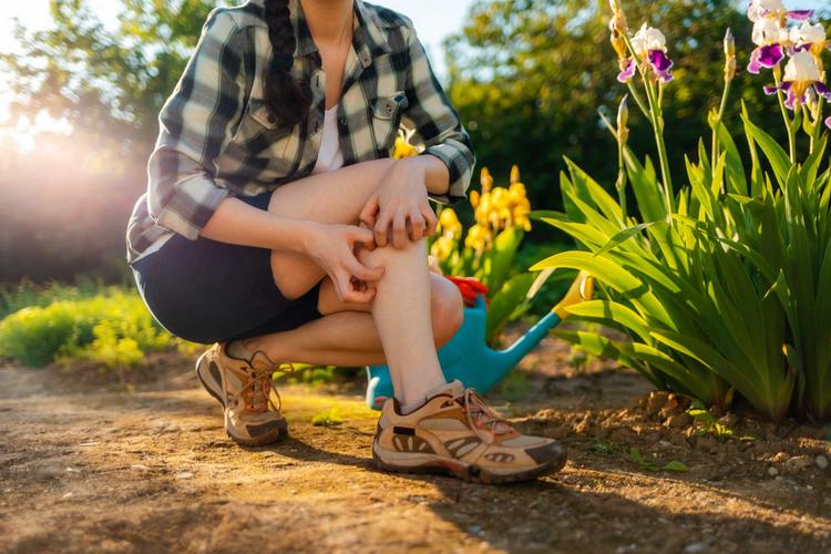Tipps gegen juckende Insektenstiche