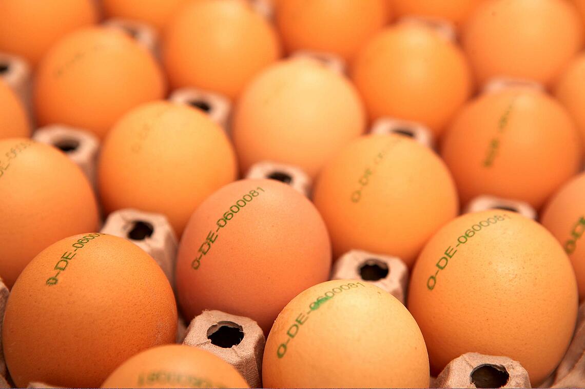 Braune Eier im Karton mit aufgedrucktem Herstellungsnachweis.