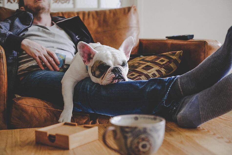 Hund chillt mit Herrchen auf dem Sofa