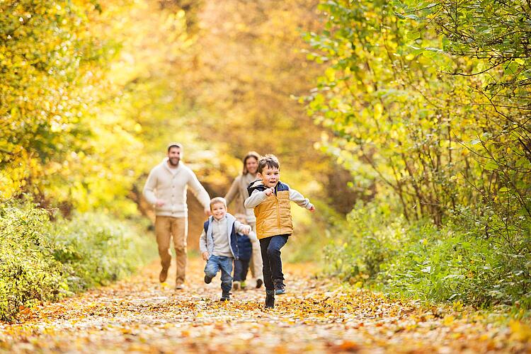 Familie macht Spaziergang im herbstlichen Wald