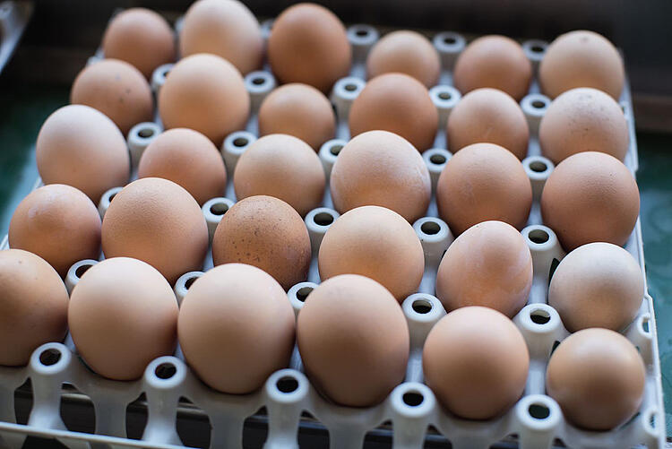 Eier in einem Eierkarton.
