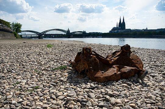 Engagement im Klimaschutz: Geht auch in der Nachbarschaft