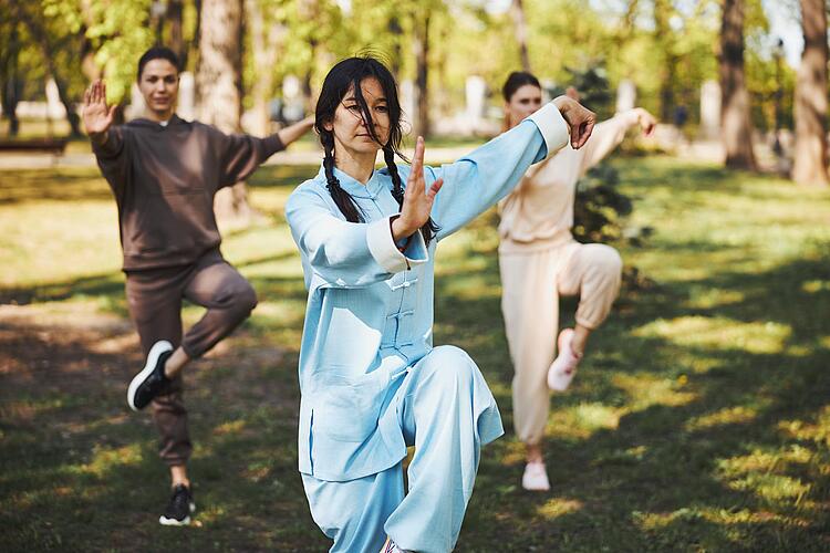 Tai Chi Training auf einer Wiese