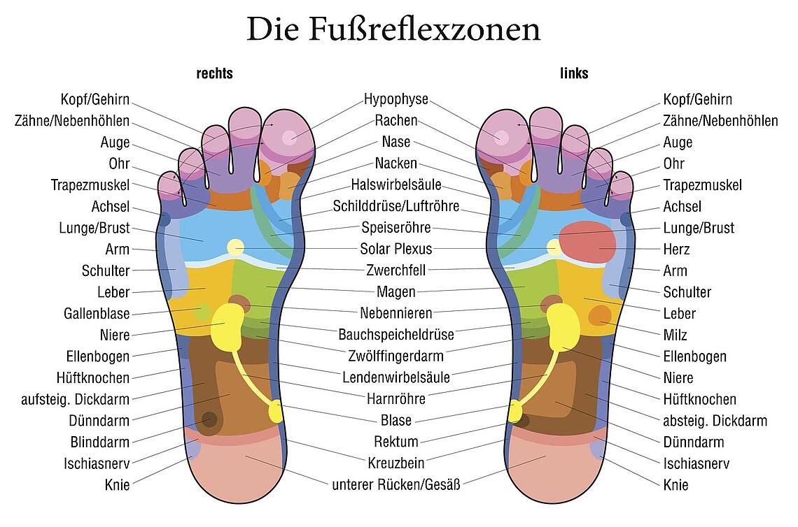 Bildnachweis: © istockphoto.com / PeterHermesFurian Infografik Fußreflexzonen